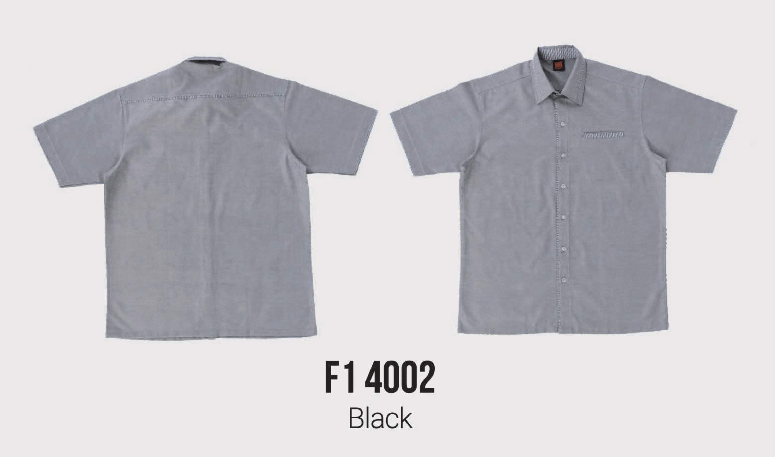 F1 40 - Color 2